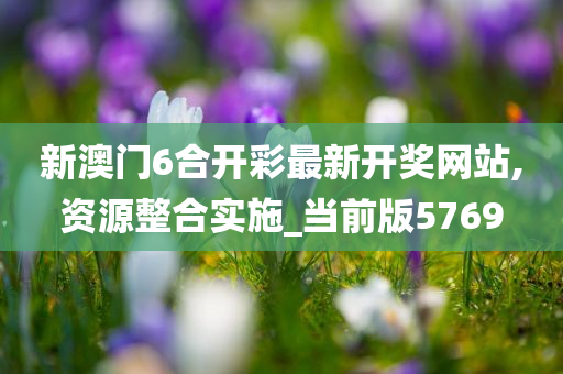 新澳门6合开彩最新开奖网站,资源整合实施_当前版5769