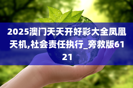 2025澳门天天开好彩大全凤凰天机,社会责任执行_旁救版6121