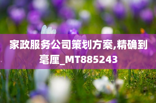 家政服务公司策划方案,精确到毫厘_MT885243