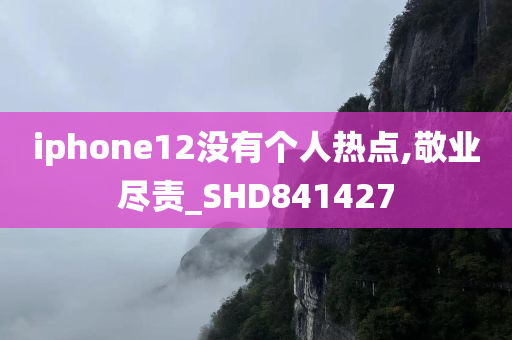 iphone12没有个人热点,敬业尽责_SHD841427