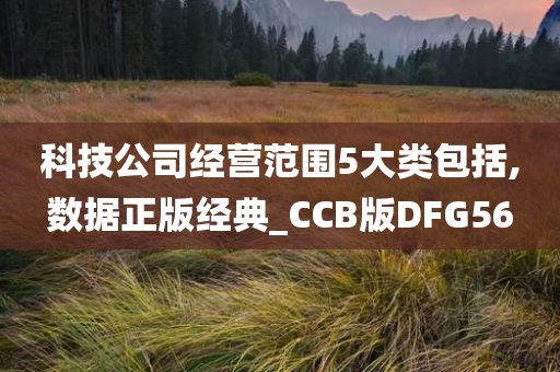 科技公司经营范围5大类包括,数据正版经典_CCB版DFG56