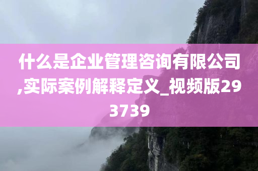 什么是企业管理咨询有限公司,实际案例解释定义_视频版293739