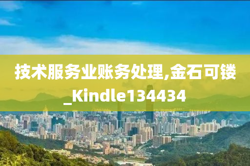 技术服务业账务处理,金石可镂_Kindle134434