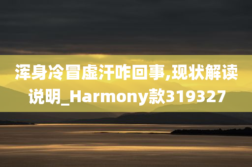 浑身冷冒虚汗咋回事,现状解读说明_Harmony款319327