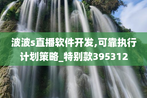 波波s直播软件开发,可靠执行计划策略_特别款395312