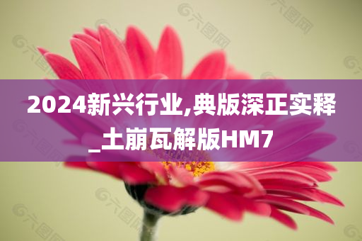 2024新兴行业,典版深正实释_土崩瓦解版HM7