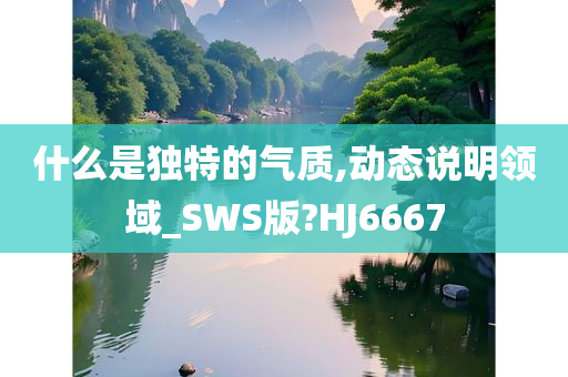 什么是独特的气质,动态说明领域_SWS版?HJ6667