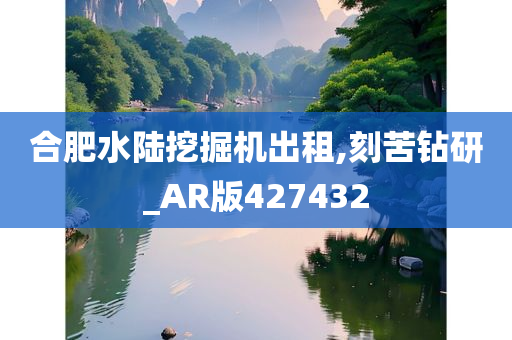 合肥水陆挖掘机出租,刻苦钻研_AR版427432