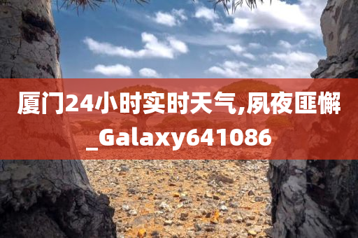 厦门24小时实时天气,夙夜匪懈_Galaxy641086