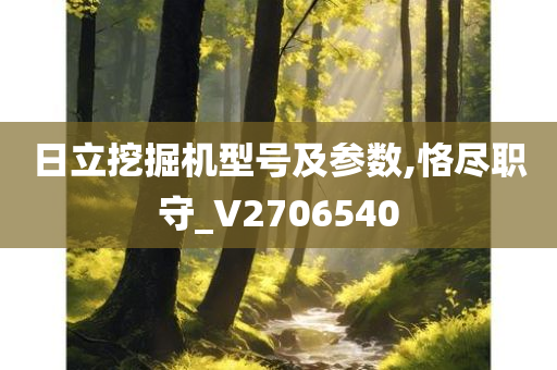 日立挖掘机型号及参数,恪尽职守_V2706540