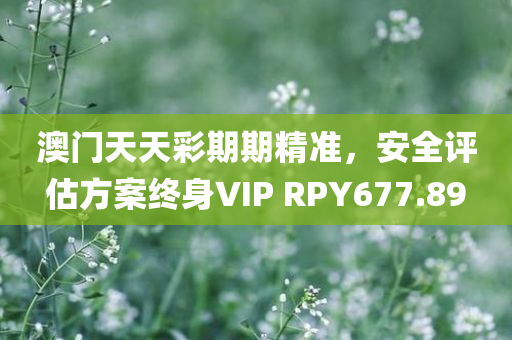 澳门天天彩期期精准，安全评估方案终身VIP RPY677.89