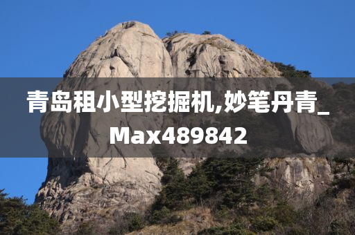 青岛租小型挖掘机,妙笔丹青_Max489842