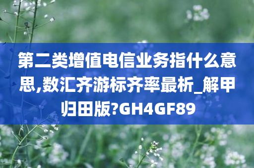 第二类增值电信业务指什么意思,数汇齐游标齐率最析_解甲归田版?GH4GF89