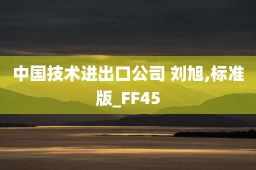 中国技术进出口公司 刘旭,标准版_FF45