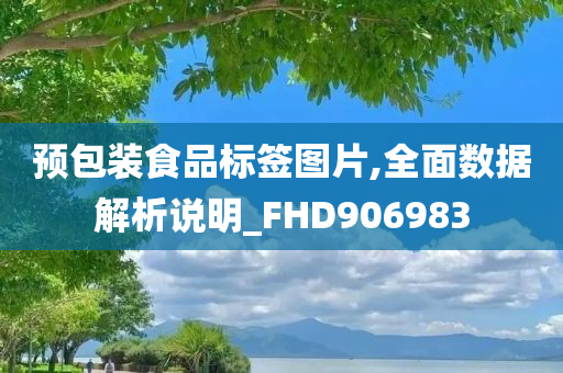 预包装食品标签图片,全面数据解析说明_FHD906983