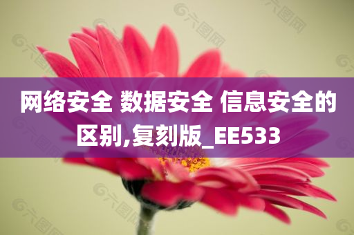 网络安全 数据安全 信息安全的区别,复刻版_EE533