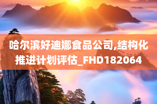 哈尔滨好迪娜食品公司,结构化推进计划评估_FHD182064