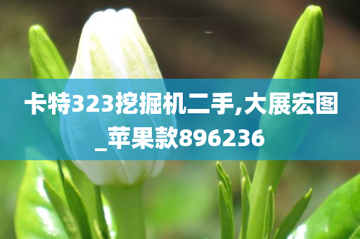 卡特323挖掘机二手,大展宏图_苹果款896236