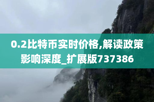 0.2比特币实时价格,解读政策影响深度_扩展版737386