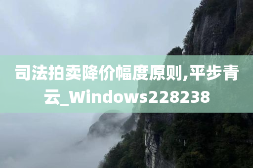 司法拍卖降价幅度原则,平步青云_Windows228238