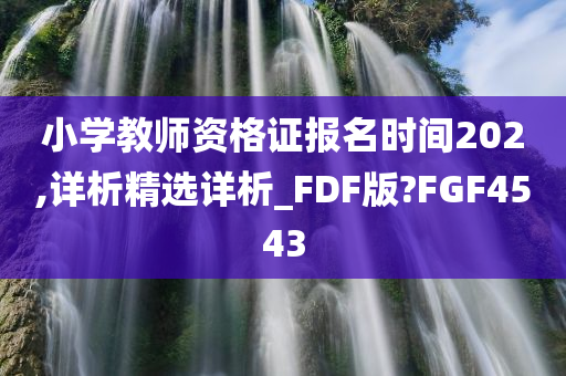 小学教师资格证报名时间202,详析精选详析_FDF版?FGF4543