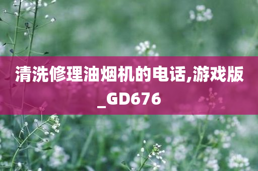 清洗修理油烟机的电话,游戏版_GD676