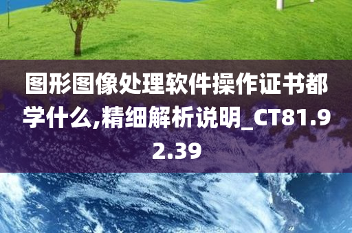 图形图像处理软件操作证书都学什么,精细解析说明_CT81.92.39