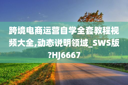 跨境电商运营自学全套教程视频大全,动态说明领域_SWS版?HJ6667