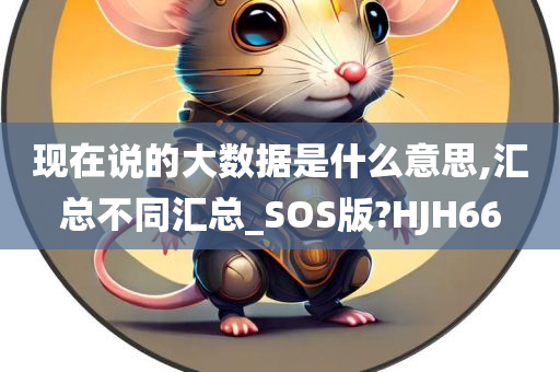 现在说的大数据是什么意思,汇总不同汇总_SOS版?HJH66