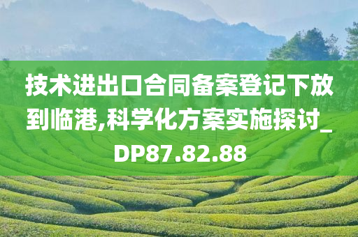 技术进出口合同备案登记下放到临港,科学化方案实施探讨_DP87.82.88