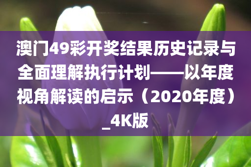 澳门49彩开奖结果历史记录与全面理解执行计划——以年度视角解读的启示（2020年度）_4K版