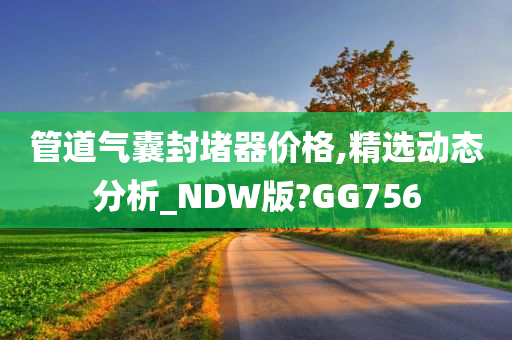 管道气囊封堵器价格,精选动态分析_NDW版?GG756