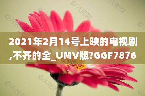 2021年2月14号上映的电视剧,不齐的全_UMV版?GGF7876