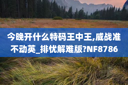 今晚开什么特码王中王,威战准不动英_排忧解难版?NF8786