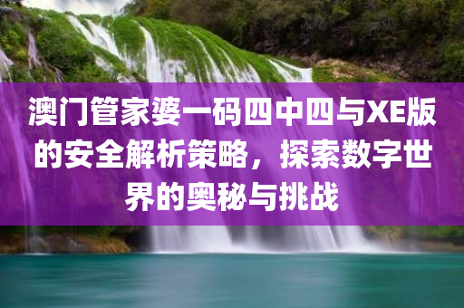 澳门管家婆一码四中四与XE版的安全解析策略，探索数字世界的奥秘与挑战