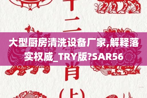 大型厨房清洗设备厂家,解释落实权威_TRY版?SAR56