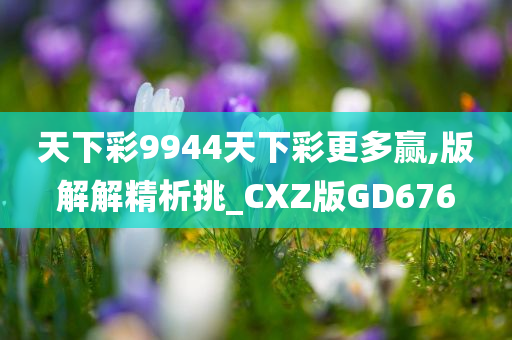 天下彩9944天下彩更多赢,版解解精析挑_CXZ版GD676