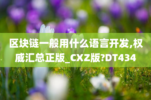 区块链一般用什么语言开发,权威汇总正版_CXZ版?DT434