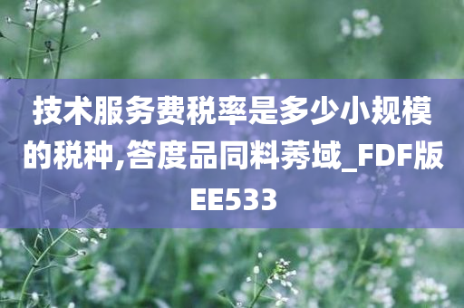 技术服务费税率是多少小规模的税种,答度品同料莠域_FDF版EE533