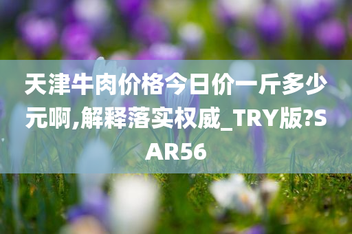 天津牛肉价格今日价一斤多少元啊,解释落实权威_TRY版?SAR56