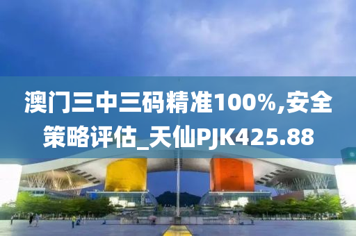 澳门三中三码精准100%,安全策略评估_天仙PJK425.88