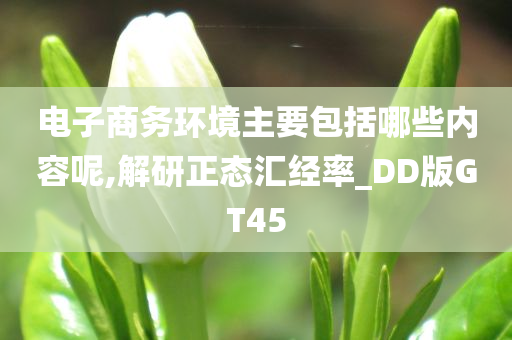 电子商务环境主要包括哪些内容呢,解研正态汇经率_DD版GT45