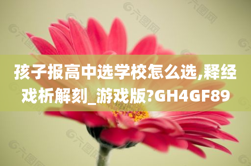 孩子报高中选学校怎么选,释经戏析解刻_游戏版?GH4GF89