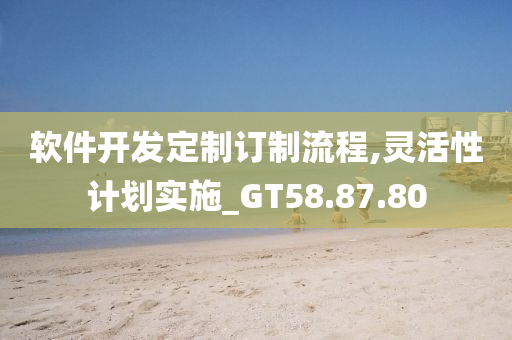 软件开发定制订制流程,灵活性计划实施_GT58.87.80