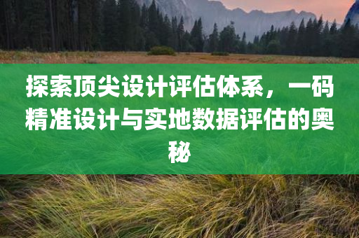 探索顶尖设计评估体系，一码精准设计与实地数据评估的奥秘