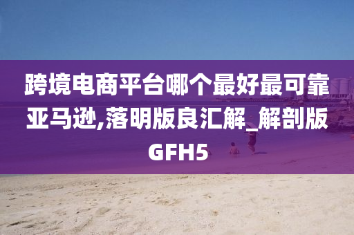 跨境电商平台哪个最好最可靠亚马逊,落明版良汇解_解剖版GFH5