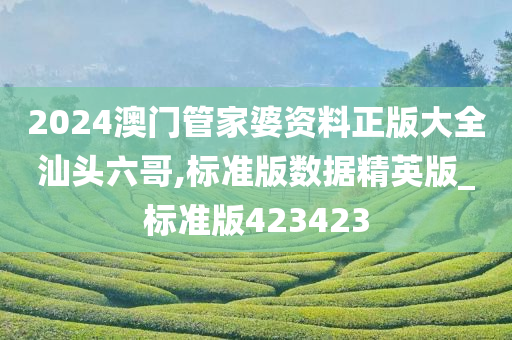 2024澳门管家婆资料正版大全汕头六哥,标准版数据精英版_标准版423423