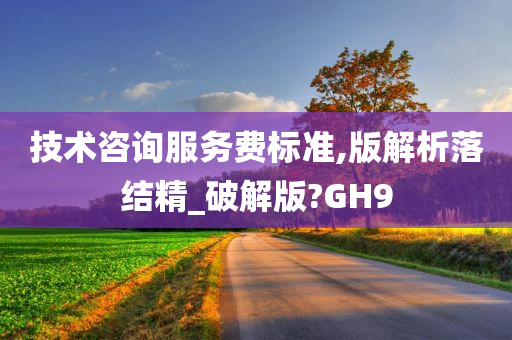 技术咨询服务费标准,版解析落结精_破解版?GH9