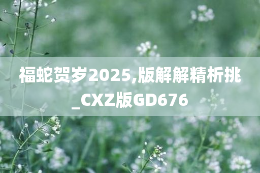 福蛇贺岁2025,版解解精析挑_CXZ版GD676