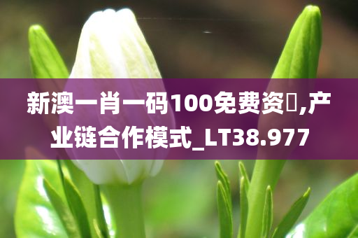 新澳一肖一码100免费资枓,产业链合作模式_LT38.977